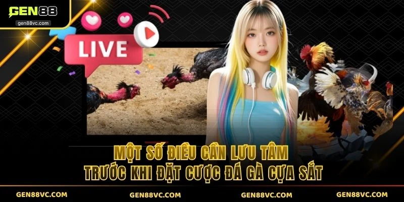 Một số điều cần lưu tâm trước khi đặt cược đá gà cựa sắt