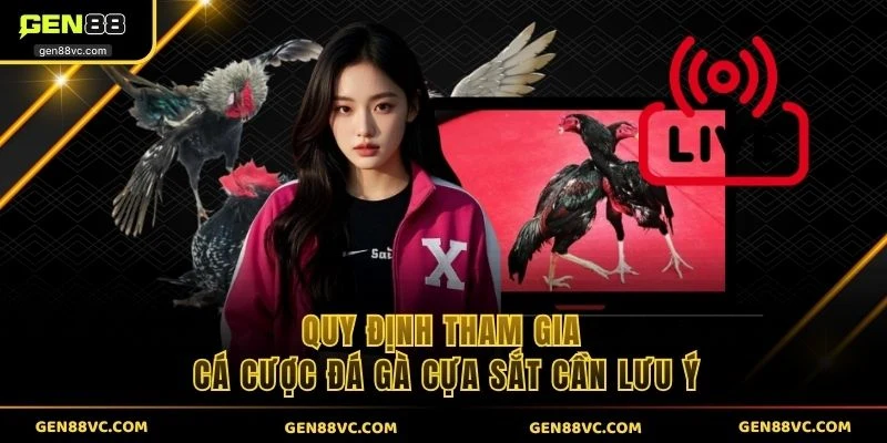 Quy định tham gia cá cược đá gà cựa sắt cần lưu ý